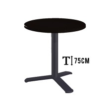 alt= Mesa TKITT.BG3L