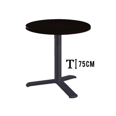 alt= Mesa TKITT.BG3L