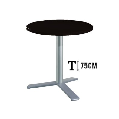 alt= Mesa TKITT.BG3L