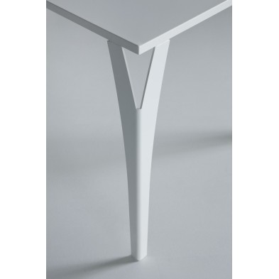 alt= Mesa Charme